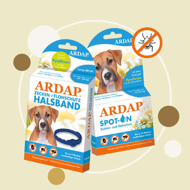 Highlight Tierprodukte 800x800